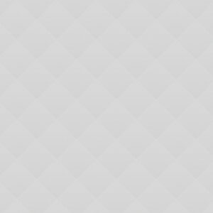 Vanessa Adams Vanessa Adams